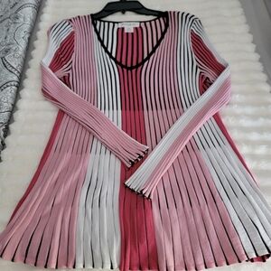 Skye's the Limit Pink and Black Striped Top